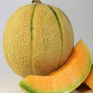 Cantaloupe Melone 1 Stück