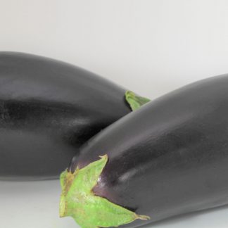 Aubergine