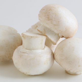 Champignons weiß 500g