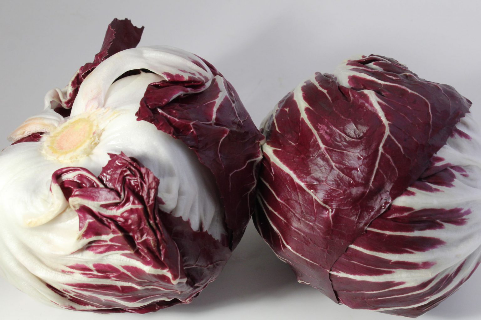 Radicchio Salat – Weihe Webshop