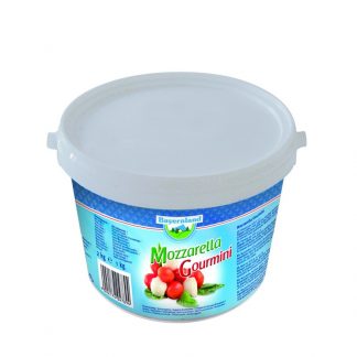 Mozzarella Gourmini 45% 1Kg Eimer