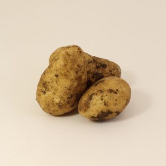 Kartoffeln Früh "Annabelle" 1kg